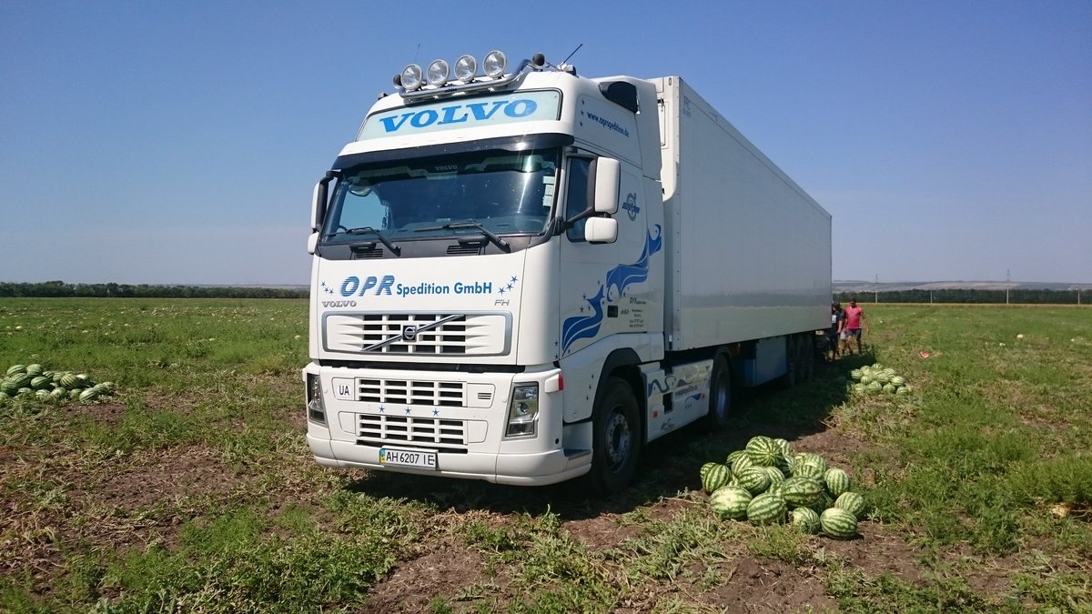 Бахча — фото 1